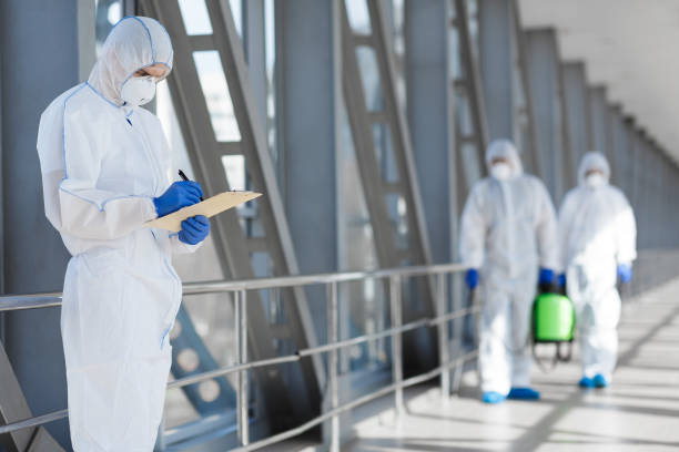 Best Basement Mold Removal  in Kennesaw, GA