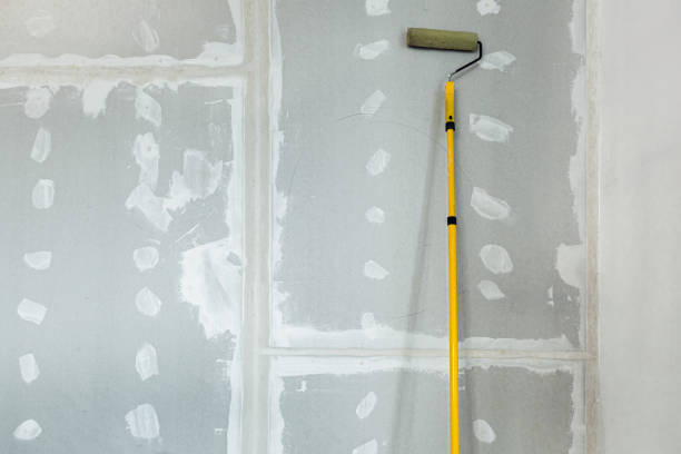 Best Dehumidification Services  in Kennesaw, GA