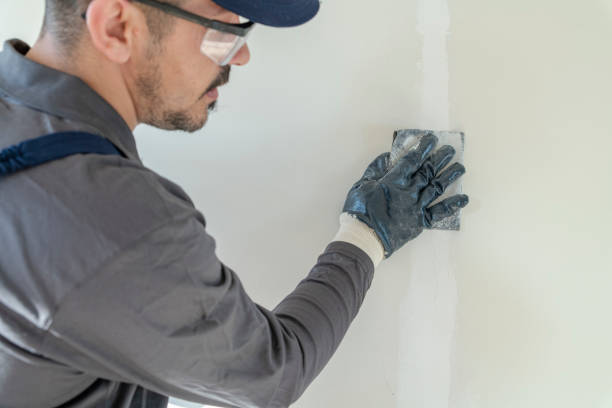 Best HVAC Mold Inspection and Cleaning  in Kennesaw, GA