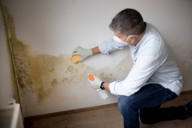 Best Crawl Space Mold Remediation  in Kennesaw, GA