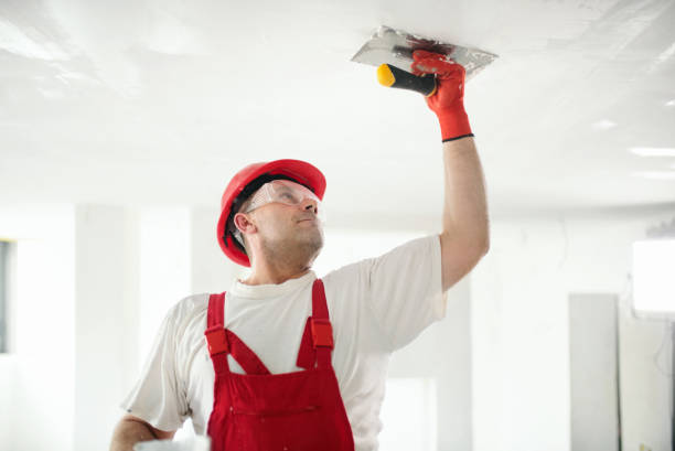 Best Real Estate Mold Inspection  in Kennesaw, GA