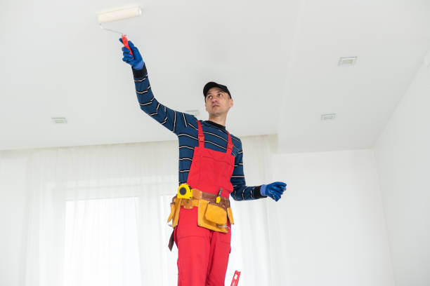 Professional Mold Removal in Kennesaw, GA