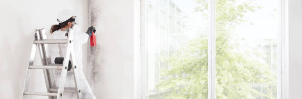 Best HVAC Mold Inspection and Cleaning  in Kennesaw, GA